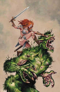Red Sonja She Devil With A Sword #1 Cover L 1 in 10 Mike Rooth Full Art Cover Variant
