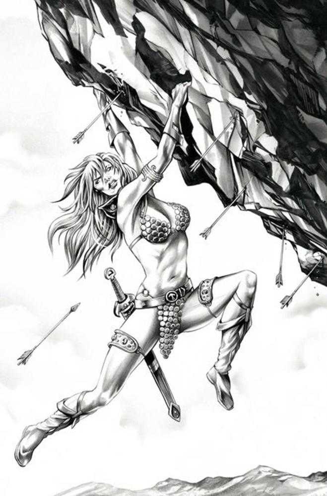Red Sonja She Devil With A Sword #4 Cover N Inc 1:7 Mike Rooth Black & White Full Art Variant