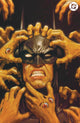 Absolute Batman #23 Full Art Variant B by Francesco Tomaselli (Limited to 1000) 8.12.26