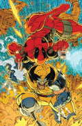 Deadpool/ Wolverine #1 Virgin Variant by Kaare Andrews (Limited to 1000) 1.1.25